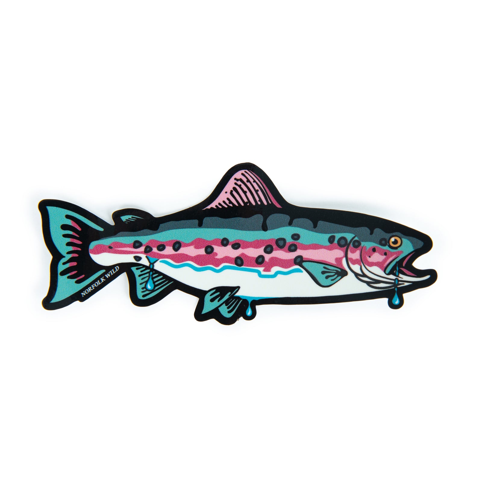 Norfolk Wild Rainbow Trout die-cut vinyl sticker on a white background
